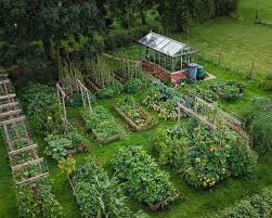 We did not find results for: Sustainable Sprout On Instagram Thriving Garden That Leaves You Speechless Add This To Your Garden Goals In 2021 Thriving Garden Garden Garden Planning