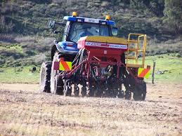 Like most seeds, they require warmth and plenty of water to germinate. Dry Sowing Pasture Fpag