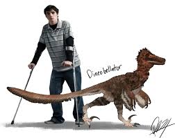 Image result for Dinophora