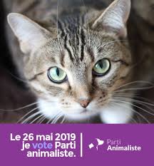 RÃ©sultat de recherche d'images pour "parti animaliste"