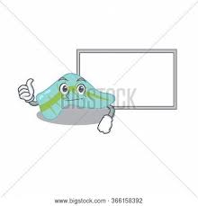 Pancreas Cartoon Vector Photo Free Trial Bigstock Sur.ly for wordpress sur.ly plugin for wordpress is free of charge. bigstock