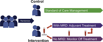 Check spelling or type a new query. Detection Of Minimal Residual Disease Using Ctdna In Lung Cancer Current Evidence And Future Directions Journal Of Thoracic Oncology