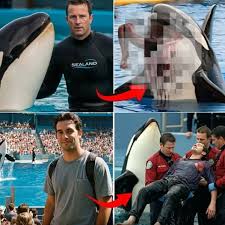 Salvadoreños - 🐋💔 “He Reached for Her Fin… Then Everything Went Dark” — The Chilling Final Moments of Orca Trainer Zayne Marston Caught on Camera | Facebook