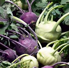 Salade De Chou Rave Carotte Et Pomme Philandcocuisine Chou Rave Salade De Chou Rave