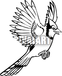 Quail (california) quail (gambel's) roadrunner (greater) robin (american) rooster. Blue Jay In Flight Drawing 94295 Dfiles Free Clip Art Drawings Blue Jay