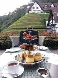 Take an opportunity to explore the area for. Afternoon Tea Yummy Scones Picture Of The Lakehouse Cameron Highlands Ringlet Tripadvisor