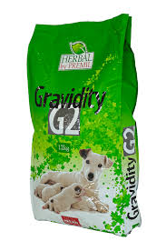 Image result for Gravidity