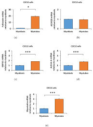 Shivaji wallpaper for pc hd : Testing And 2 3 8 6 8 And L6e9 L6e9 Epson 412 Driver Free Download Epson Expression Home Xp 412 Printer Driver Dorilondonieve Testing And 2 3 8 6 8 And L6e9 L6e9 Biomolecules Free