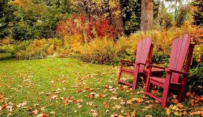 Maybe you would like to learn more about one of these? Fall Lawn Care Tips Gb Lawncare