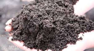 Some plants, such as camellias, lupines, garden lilies, and primrose, love acidic soils. Soil Ph And Why It Matters