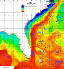 We did not find results for: Seasonal Fishing Forecast For Northeast Florida To Northeast Canyons Looking Good But Much Can Happen Roffs