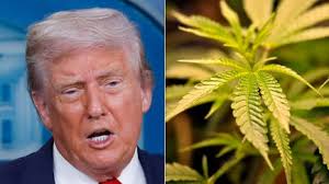 Maine Inn Owner Reveals Damning Impact Of Trump's Canada Rhetoric On His  Business