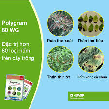 Polyram 80WG.