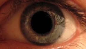 Cranial Nerve Examination Wikipedia