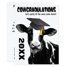 Funny Cow Graduation Congratulations Invitation Zazzle Com Graduation Party Invitations Graduation Party Graduation Funny
