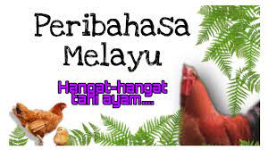 Kemauan yang tidak tetap atau tidak kuat. Hangat Hangat Tahi Ayam Peribahasa Youtube