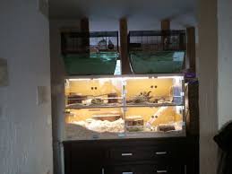 Gerbil Habitat For A Family Of 7 Rescued Gerbils Ikea Hackers Kallax Ikea Ikea Hackers Kallax