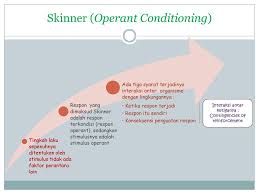 Beberapa kekeliruan dalam penerapan teori skinner adalah penggunaan hukuman sebagai salah satu cara untuk mendisiplinkan siswa. Teori Belajar Behavioristik Menurut Paham Behaviorisme Ppt Download
