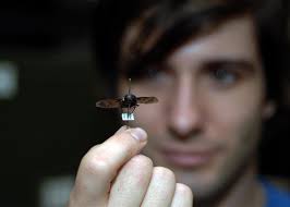 How newly discovered species get names from taxonomists.