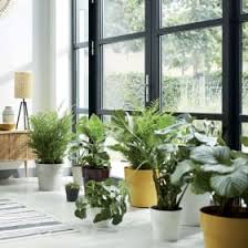 Casette, box attrezzi e sistemazione giardino vasi, fioriere e portavasi Vasi Per Piante E Fiori Guida Alla Scelta Leroy Merlin