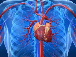 Maybe you would like to learn more about one of these? ÙÙØ±Ø¨Ø§Ø¡ Ø§ÙÙÙØ¨ Ø£Ø³Ø¨Ø§Ø¨ Ø£Ø¹Ø±Ø§Ø¶ ØªØ´Ø®ÙØµ ÙØ¹ÙØ§Ø¬ ÙØ±Ø¶ ÙÙØ±Ø¨Ø§Ø¡ Ø§ÙÙÙØ¨