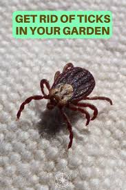 How do you apply this stuff? Gardening Tick Prevention Get Rid Of Ticks Flea And Tick