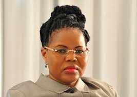 NEF denies CEO is SA's highest paid official