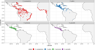 Image result for Dalbergia bracteolata