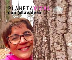 Record Guinness para nuestros tepuyes