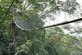 Buat anda yang ingin membawa keluarga bercuti ke melaka, jom lihat senarai tempat menarik yang terdapat di… Nak Tenangkan Fikiran 15 Tempat Menarik Di Gombak Sesuai Untuk Persinggahan Anda Ammboi