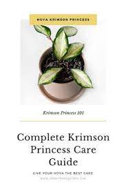 How To Care For A Hoya Krimson Princess Hoya Carnosa Indoor Home Garden In 2021 Indoor Plant Care House Plant Care House Plants Indoor