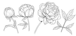 Check spelling or type a new query. Zeichnen Fur Anfanger Mit Diesen Tipps Gelingen Erste Zeichnungen