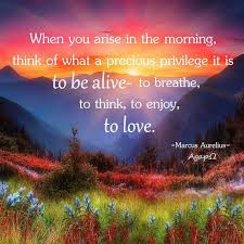 When You Arise In The Morning Think Of What A Precious Privilege It Is To Be Alive To Breathe To Think To Enjoy To Love Life Quotes Life Marcus Aurelius
