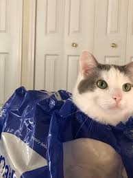 Jack thinks he's a water bottle.