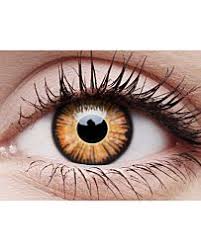 We did not find results for: 7 Best Coloured Prescription Contact Lenses Ideas Coloured Prescription Contact Lenses Prescription Contact Lenses Contact Lenses