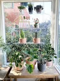 Add to favorites more colors floating planter shelves, hanging indoor herb garden shelves, vertical plant shelf, indoor garden, window seed starting elisacir $ 50.00 free shipping add to favorites. Catching Rays With Window Plant Shelves