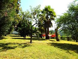 / vicente news é uma plataforma musical criada para promover. Cnsf 0ckgqzkim