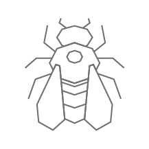 Uncover why dodson pest control is the best company for you. Home Dodson Pest Control