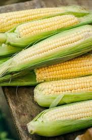 My Life In The Countryside Organic Corn Corn Vegetables