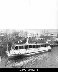 Image result for White 1992 Fleet