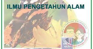 Sesuai dengan konsep kurikulum 2013, buku paket ipa kelas 9 semester 1 dan 2 revisi 2018 ini disusun mengacu pada pembelajaran tersebut secara utuh. Buku Ipa Kelas 9 Kurikulum 2013 Revisi 2018 Semester 2 Guru Maju