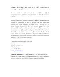 Image result for Chamaeclitandra henriquesiana