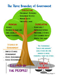 The Three Branches Of Government Tree Poster