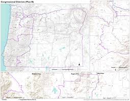 It will teach your brain to understand english phrases immediately. Redistricting In Oregon After The 2020 Census Ballotpedia