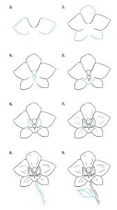 Get inspired by beautiful flower drawings. 20 Easy Drawing Tutorials For Beginners Cool Things To Draw Step By Step Easy Flower Drawing Tutorials Drawing Tutorial Easy Drawing Tutorials For Beginners