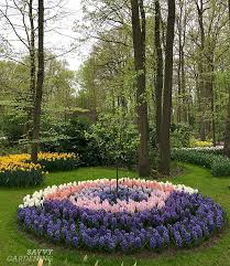 If this were the case, there would be less likelihood of damaging a tree by covering a small area immediately around the tree. Bulb Planting Design Tips And Inspiration From The Keukenhof Gardens