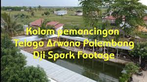 Kolam Pemancingan Ikan Patin Telaga Arwana Palembang Youtube