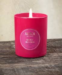 Candles Fragrance Diffusers In Beautiful Scents Avoca