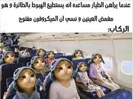 نكت انمي Funny Photo Memes Funny Memes Images Memes Funny Faces