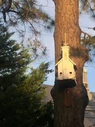 Shine Your Light On Me By Mia Shine Your Light Outdoor Decor Bird House
